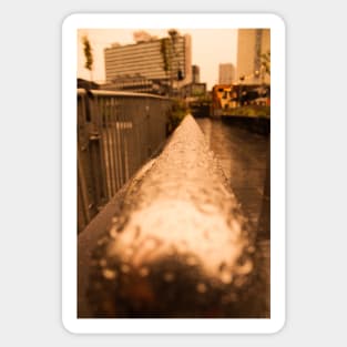 Urban Photograph Sticker